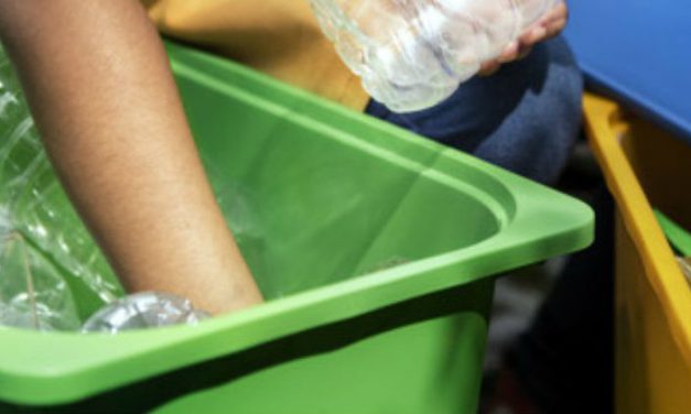 Reciclagem em São Paulo: dificuldades e alternativas para o descarte correto